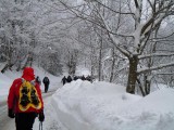 04. ralica je očistila makadam do Vrbovske poljane pa je lakše hodati